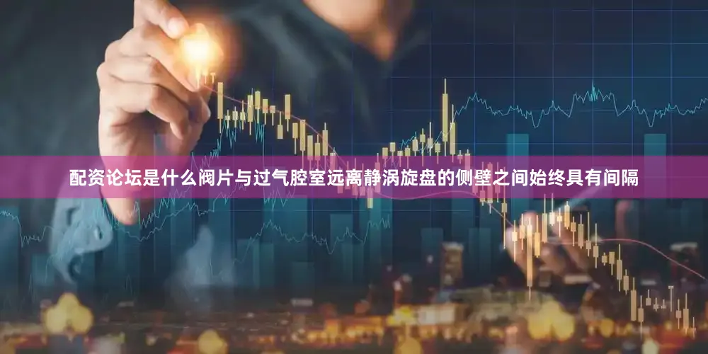 配资论坛是什么阀片与过气腔室远离静涡旋盘的侧壁之间始终具有间隔