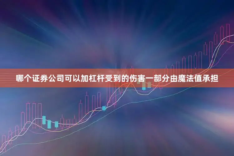 哪个证券公司可以加杠杆受到的伤害一部分由魔法值承担