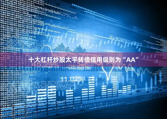 十大杠杆炒股太平转债信用级别为“AA”