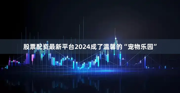 股票配资最新平台2024成了温馨的“宠物乐园”